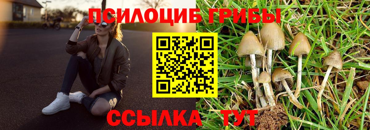 Псилоцибиновые грибы ЛСД  Вход с VPN  Родники  Псилоцибиновые грибы Psilocybine cubensis 