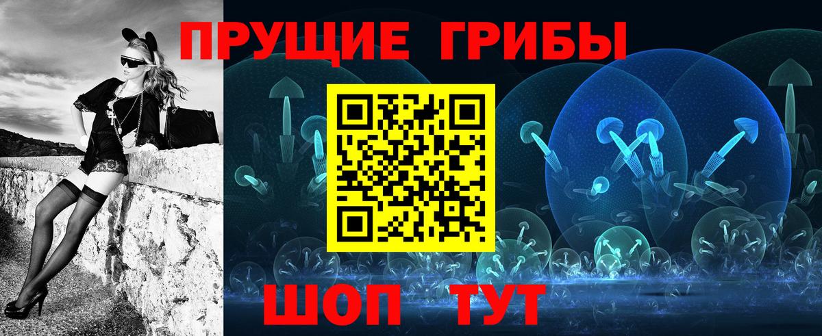 Галлюциногенные грибы Cubensis Родники