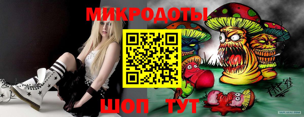 Псилоцибиновые грибы прущие грибы  Галлюциногенные грибы ЛСД  Родники 