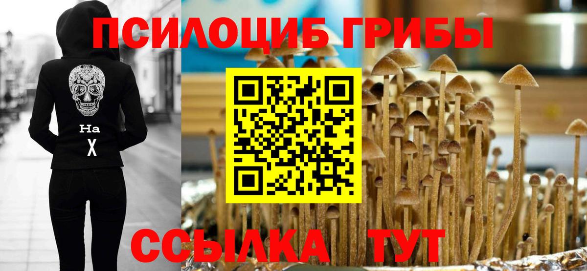 Псилоцибиновые грибы ЛСД Родники